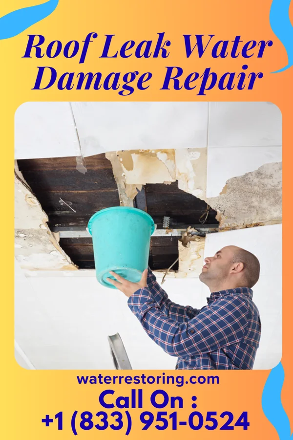 Roof Leak Water Damage Repair in Taunton, MN